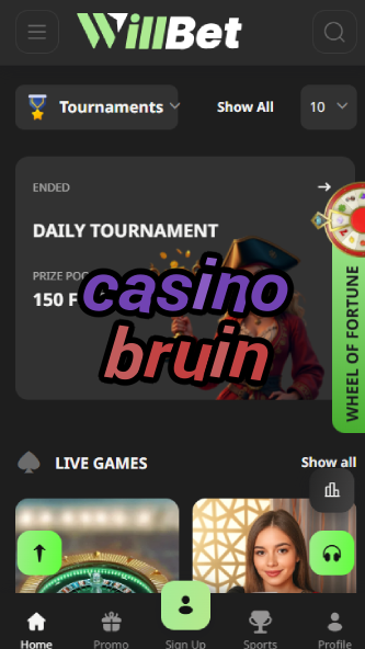 Casino Bruin - Best Bear-Themed Casino Games-casinocasi.ydblkf.net