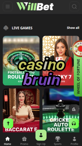 Casino Bruin - Best Bear-Themed Casino Games-casinocasi.ydblkf.net